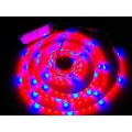 LED pásiky na podporu rastu rastlín LED pásiky na podporu rastu rastlín