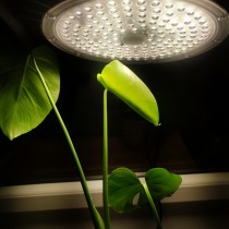 PROFI LED GROW panel pre všetky rastliny, 100W, 220V, sunlight 