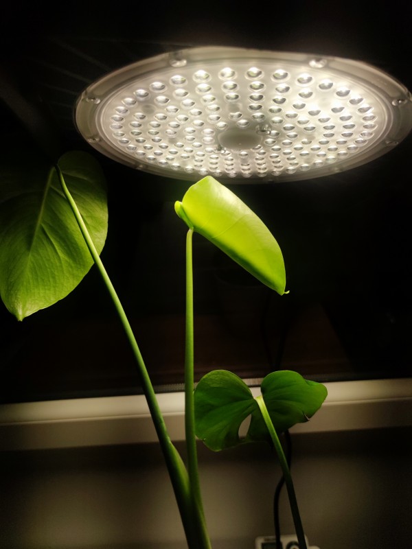 PROFI LED GROW panel pre všetky rastliny, 100W, 220V, sunlight 