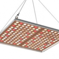 PROFI LED GROW panel pre všetky rastliny, 100W, 220V, sunlight+red