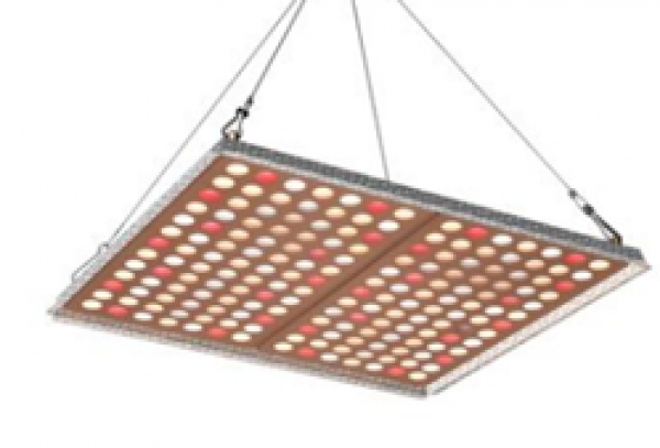 PROFI LED GROW panel pre všetky rastliny, 100W, 220V, sunlight+red