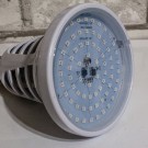 BASIC LED GROW žiarovka 8W pre všetky rastliny s lapačom hmyzu, fialová