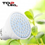 BASIC LED GROW žiarovka na všetky rastliny, 3W, GU10, SMD 2835, fialová