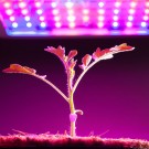 PROFI LED GROW panel pre všetky rastliny, 45W, 230V, ružová