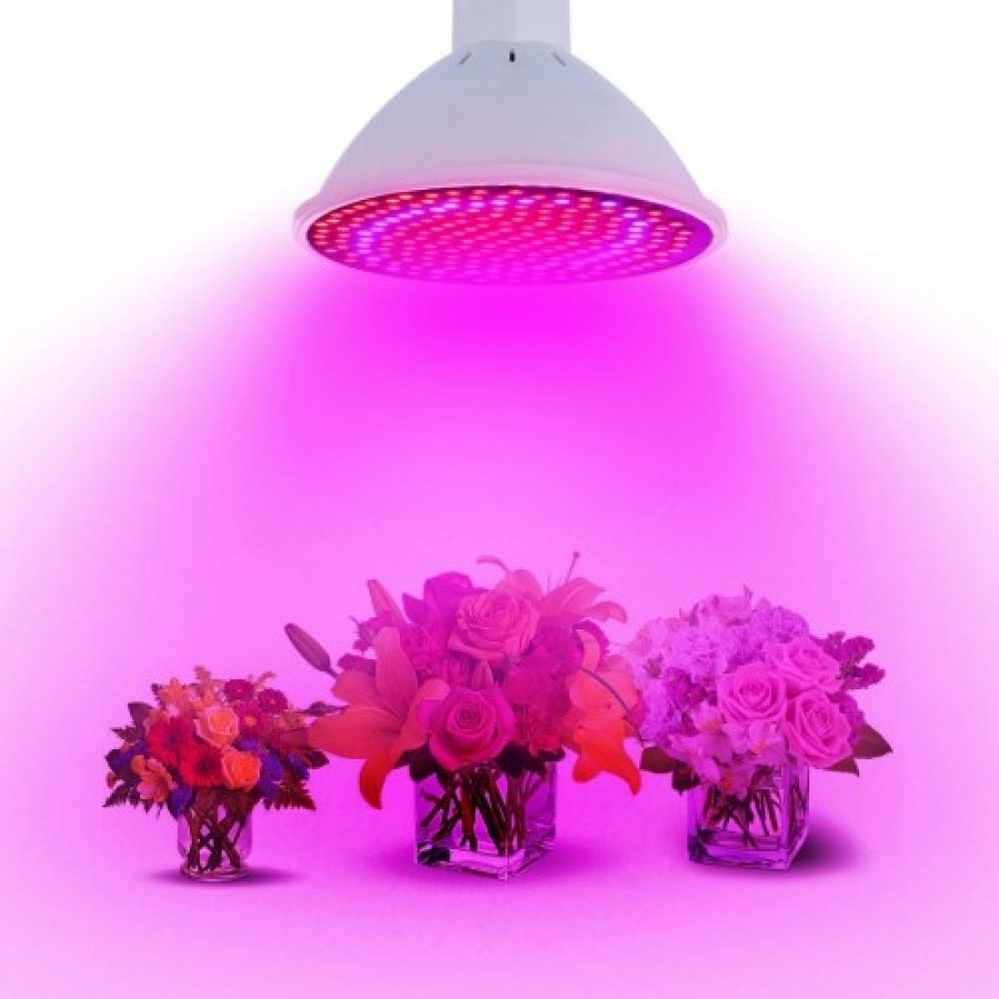 UV LED grow žiarovka na pestovanie rastlín 8W - topled.sk