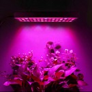 PROFI LED GROW panel pre všetky rastliny, 25W, 230V, ružová