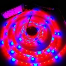 Kompletná sada LED pásik pre rast rastlín, 5m, 300xled, SMD 5050, 14,4W/m, IP65, vodotesný