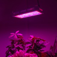 PROFI LED GROW panel pre všetky rastliny, 90W, 230V, ružová