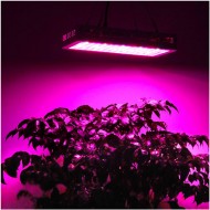 PROFI LED GROW panel pre všetky rastliny, 40W, 230V, ružová