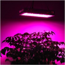 PROFI LED GROW panel pre všetky rastliny, 40W, 230V, ružová