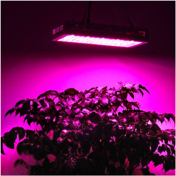 PROFI LED GROW panel pre všetky rastliny, 40W, 230V, ružová