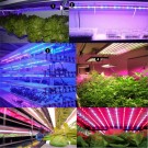 Kompletná sada LED pásik pre rast rastlín, 5m, 300xled, SMD 5050, 14,4W/m, IP65, vodotesný