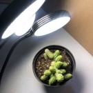 PROFI LED GROW trojramenná lampa na všetky rastliny so zabudovaným časovačom a stmievačom, HB-GT07, 15W - SUNLIGHT